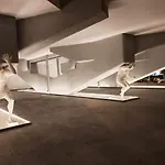 Ocean Garden 11 Con Jardin Privado Apartman Costa Adeje (Tenerife)